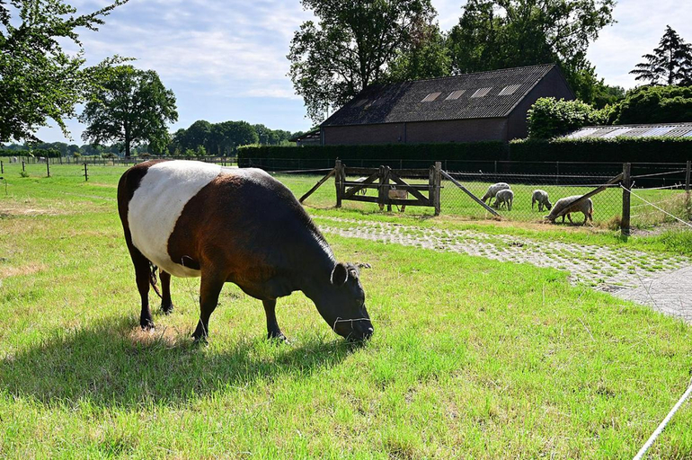 Others 5, De Lakenvelder B&B Eersel, Eersel