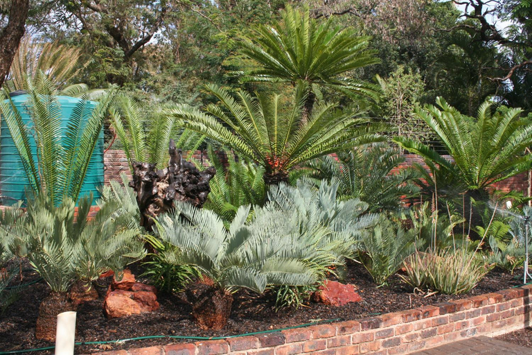 Others 4, Oryx B&B Reserved Guests Only, Waterberg