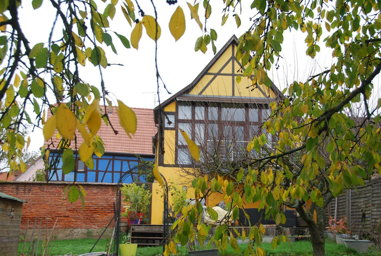 Others 3, maisonbleue67, Bas-Rhin