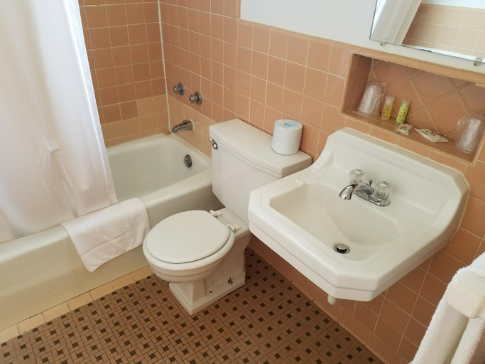 Bathroom 4, West Plains Motel, Howell