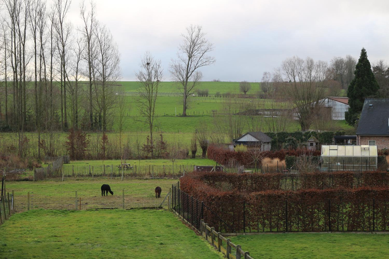 Others 2, B&B Den Boskant, Oost-Vlaanderen