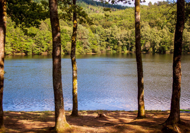 Others 5, Vue sur la Vezere, Corrèze