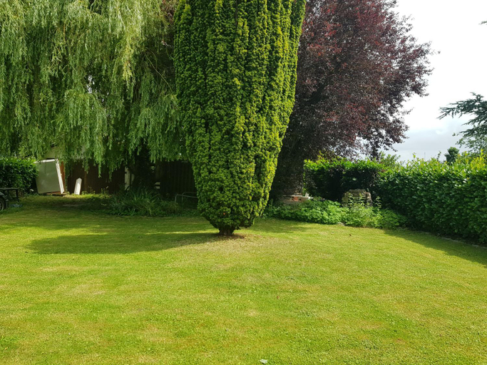 Others 5, Mary's Poppies - Bed & Breakfast, Hainaut