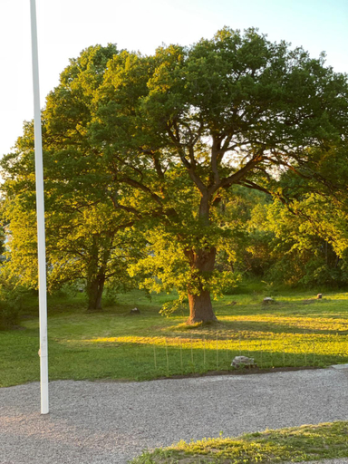 Others 4, Rosenfors Herrgard B&B, Borgholm