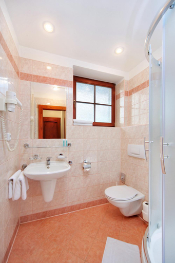 Bathroom, Pension SILVA, Trutnov