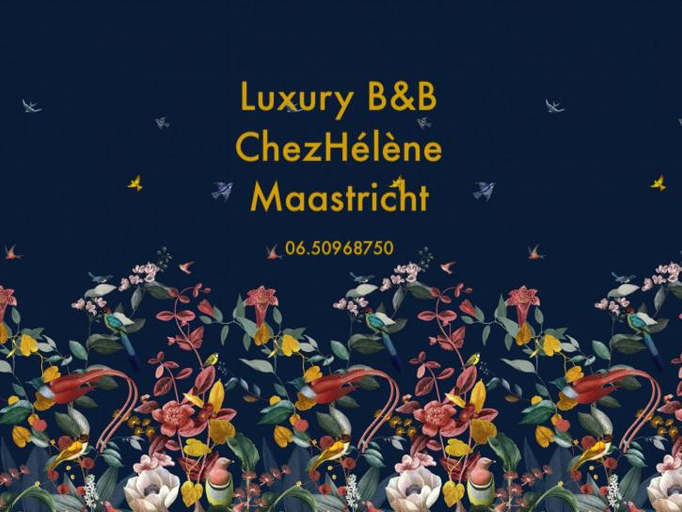 Others 4, Chez Helene Luxury BNB, Maastricht