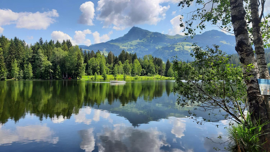 Others 5, Privatzimmervermietung Foidlbauer, Kitzbühel
