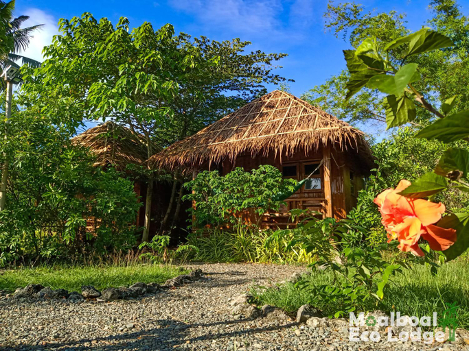 Others 4, Moalboal Eco Lodge, Moalboal