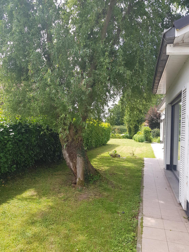 Others 4, Mary's Poppies - Bed & Breakfast, Hainaut