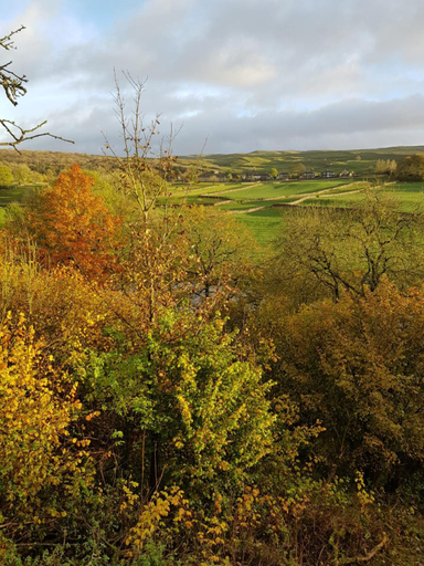 Others 3, The Sett on The Wharfe, North Yorkshire