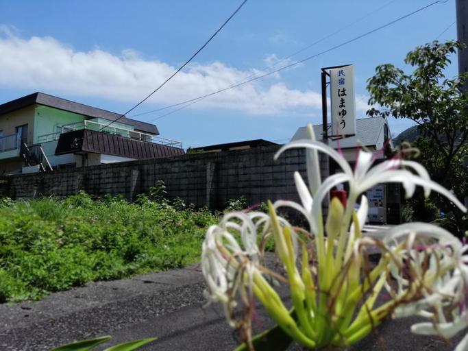 Others 5, Hamayuu, Higashiizu