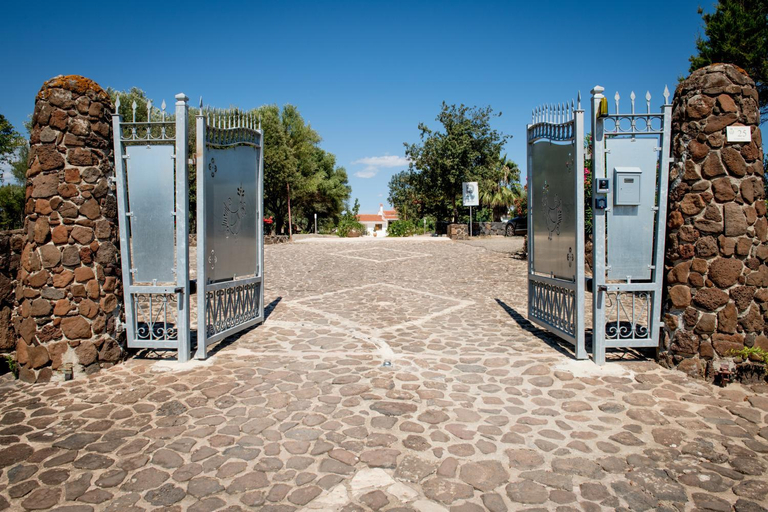 Exterior & Views 1, Orosei Summer Holidays - Cala del Turco green house, Nuoro