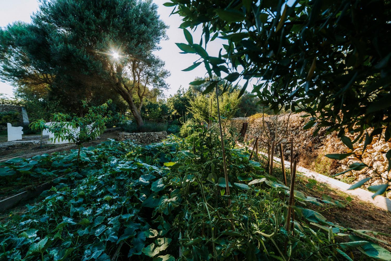 Garden 3, Agroturismo Rafal Rubi, Baleares
