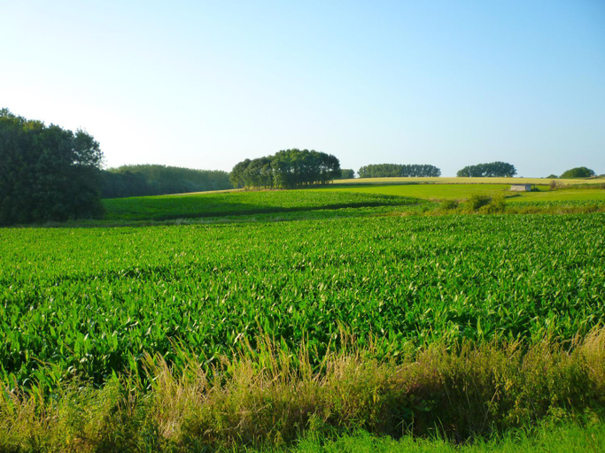 Others 4, Het Verblijf, Vlaams Brabant