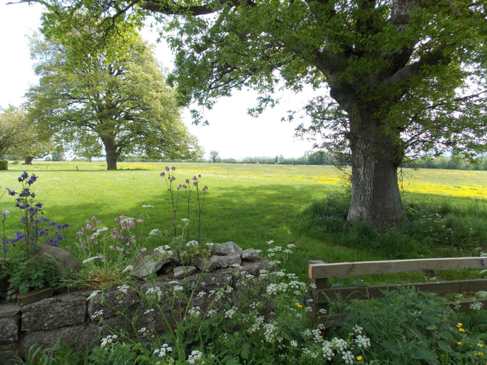 Others 4, Ash Hill B&B