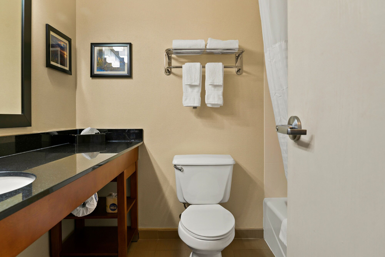 Bathroom 4, Comfort Suites Saginaw North, Saginaw