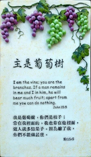 Food & Drinks, Vineyard Guest House, Taitung