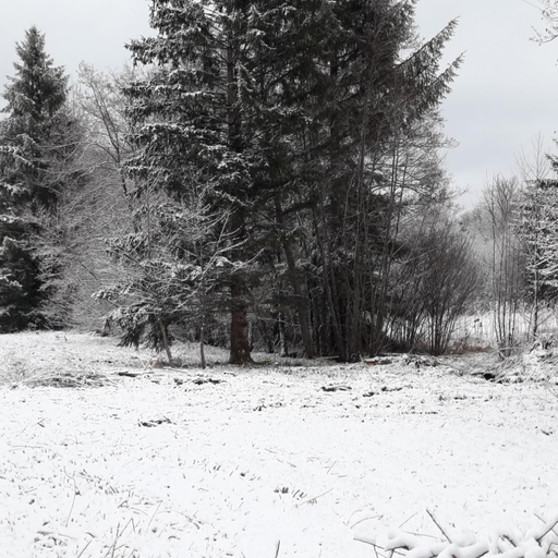 Others 5, Chambre d'hote Le Chataignier, Nièvre