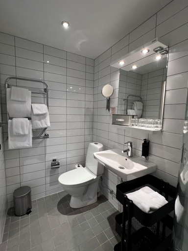 Bathroom 4, Hotell Dannegården, Trelleborg