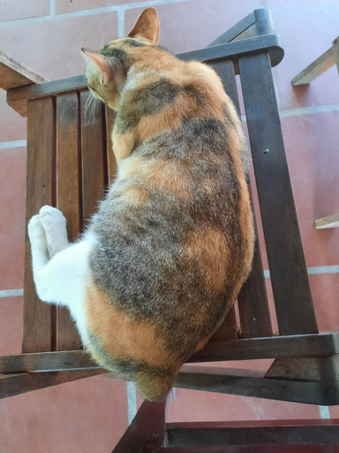 Others 3, Phuc Sinh Homestay, Châu Thành