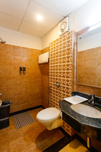 Bathroom 4, Hotel Dolphin International, Varanasi