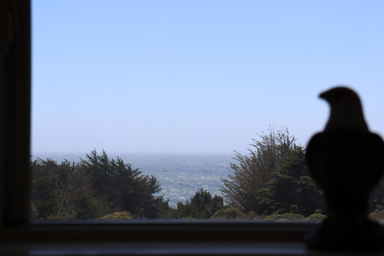 Others 5, Cozy Getaway with Ocean View and Private Entrance!, Mendocino