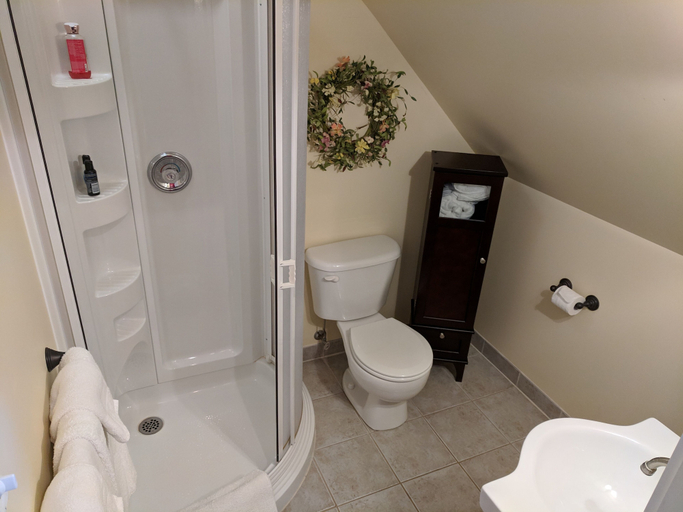Bathroom 3, The Whitewater Inn, Renfrew