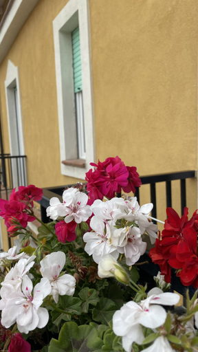 Others 3, Sunrise B&B Le castella, Crotone