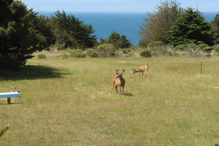 Others 4, Cozy Getaway with Ocean View and Private Entrance!, Mendocino