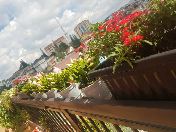 Others 4, Ngoc Tran Hostel, Đà Lạt