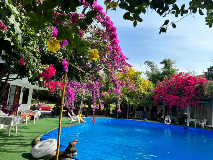 Swimming Pool 7