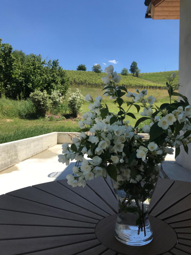 Food & Drinks 3, Sotto La Vigna Charm Stay Adults only vacation Suite, Asti