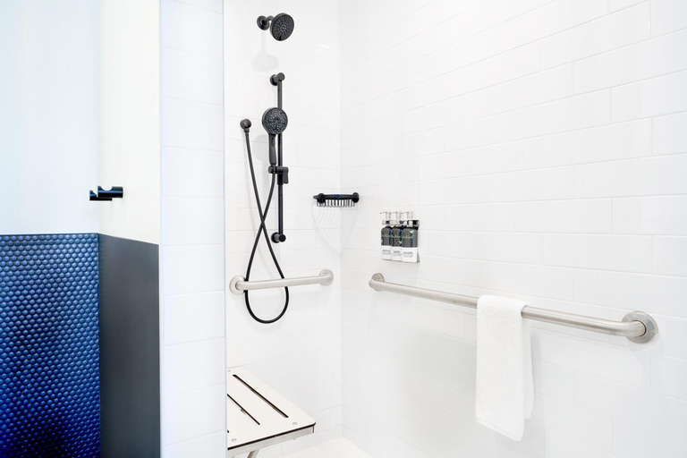Bathroom 4, Hyatt Centric Downtown Denver, Denver
