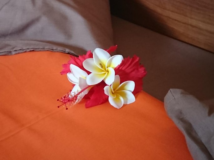 Bedroom 2, COCO REEF ECOLODGE, Kusini