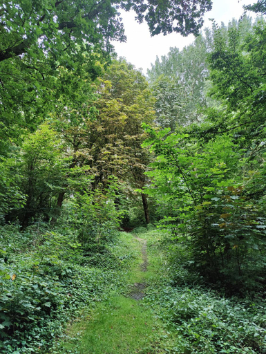 Others 4, Kwadijkerbos, Zeevang