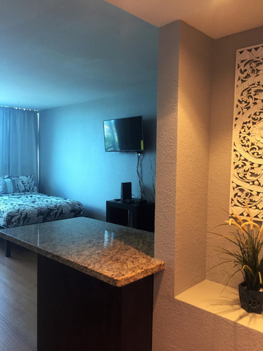 Others 5, Penthouse in the sky, Miami-Dade