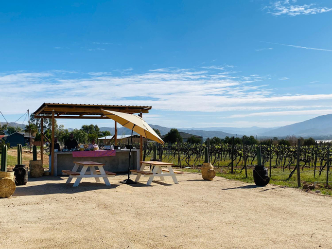 Others 4, The Pangea Valle de Guadalupe, Ensenada