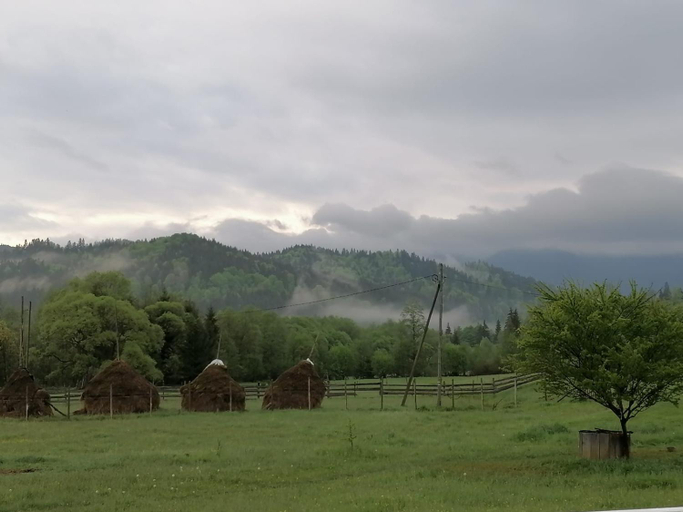 Food & Drinks, Pensiunea Freya, Bistrita Bargaului