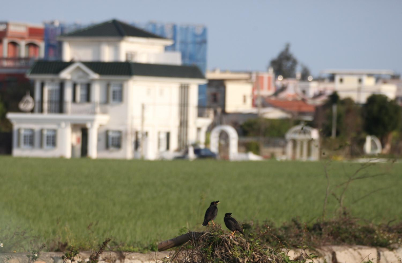 Others 5, 海之風 玫瑰莊園 Sea&Wind Rose Manor, Kinmen