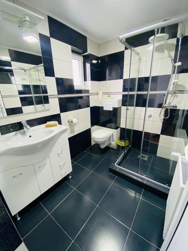Bathroom 2, Dry Valley, Campulung Moldovenesc