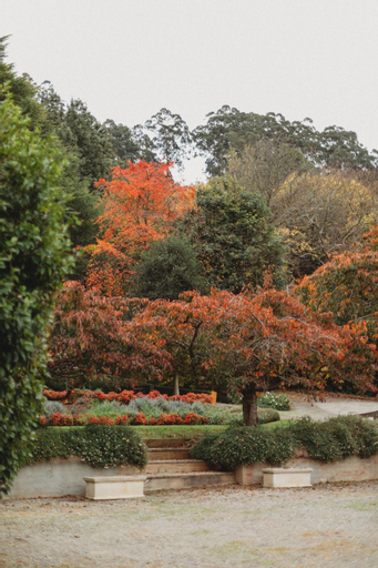 Exterior & Views 5, The Mulberry Cottage, Yarra Ranges - Dandenongs