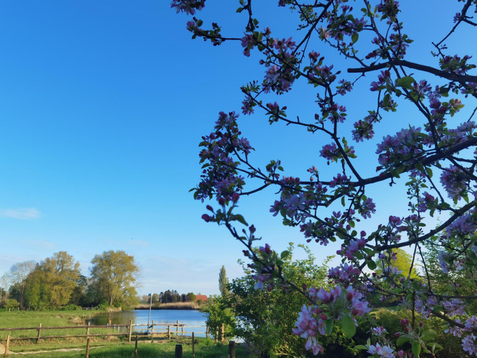 Others 5, Stedinger Landhotel & Cafe, Wesermarsch