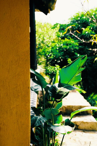 Others 3, Moc Chau Retreat, Mộc Châu