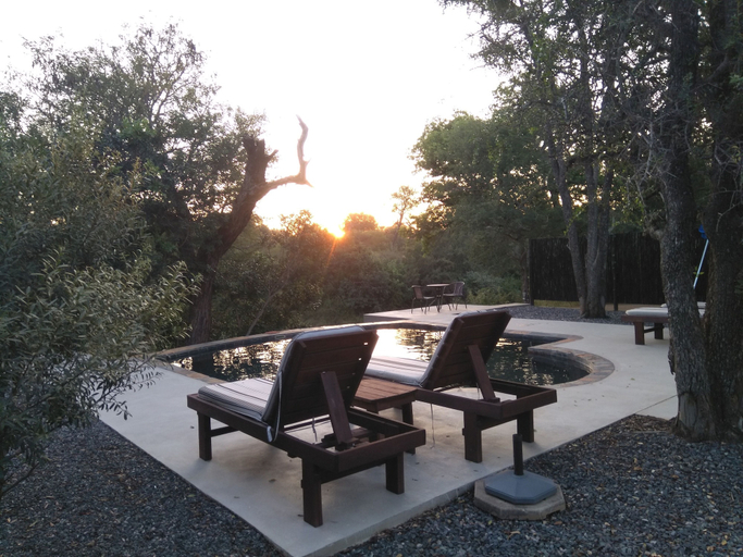 Others 4, Leadwood Tree Safari Lodge, Mopani
