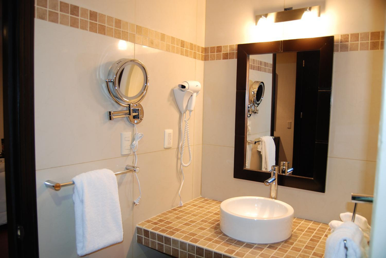 Bathroom 4, Wyndham Garden Aguascalientes Hotel & Casino, Aguascalientes