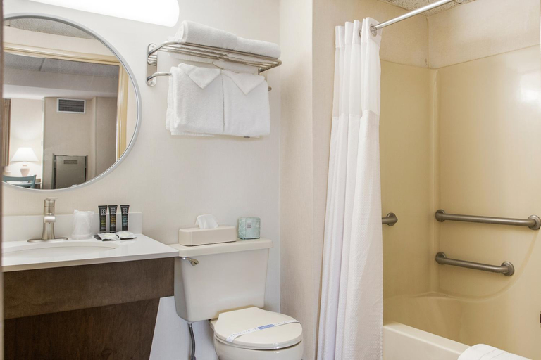 Bathroom 4, The Americana Hotel, Worcester