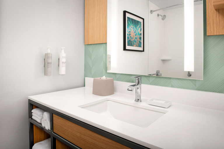 Bathroom 4, Hilton Garden Inn Solomons, Calvert