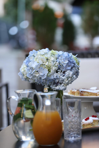 Food & Drinks 5, Mukhrantubani Boutique Hotel, Tbilisi
