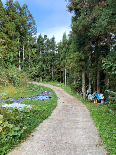 Scenery 7