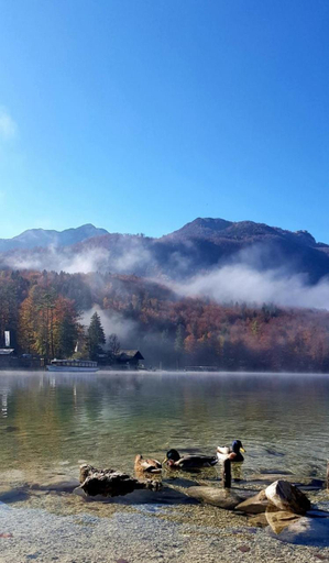 Others 5, Apartments Bohinjc, Bohinj